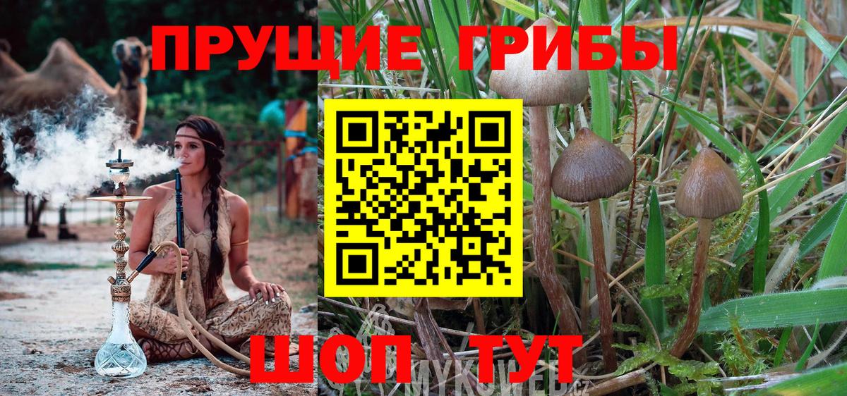 Мытищи  Галлюциногенные грибы MAGIC MUSHROOMS  Вход с VPN 