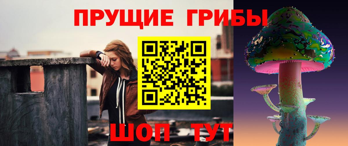 Галлюциногенные грибы Cubensis  Мытищи  Галлюциногенные грибы мицелий 