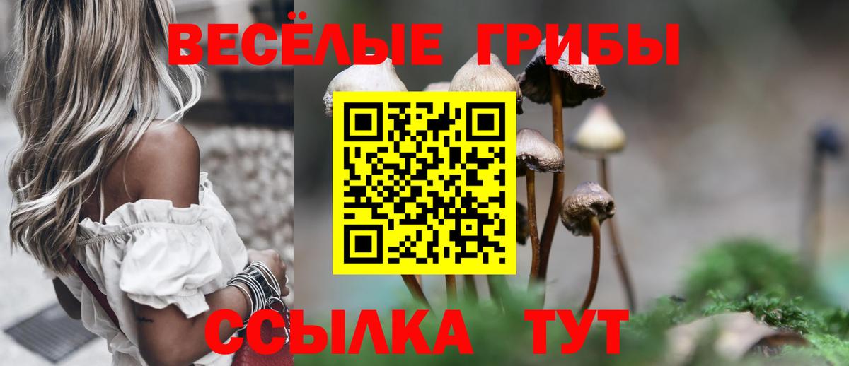 Псилоцибиновые грибы Psilocybe Мытищи